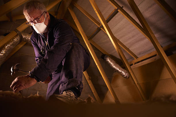 Best Types of Insulation in East Prairie, MO